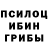 Псилоцибиновые грибы мухоморы chirchik